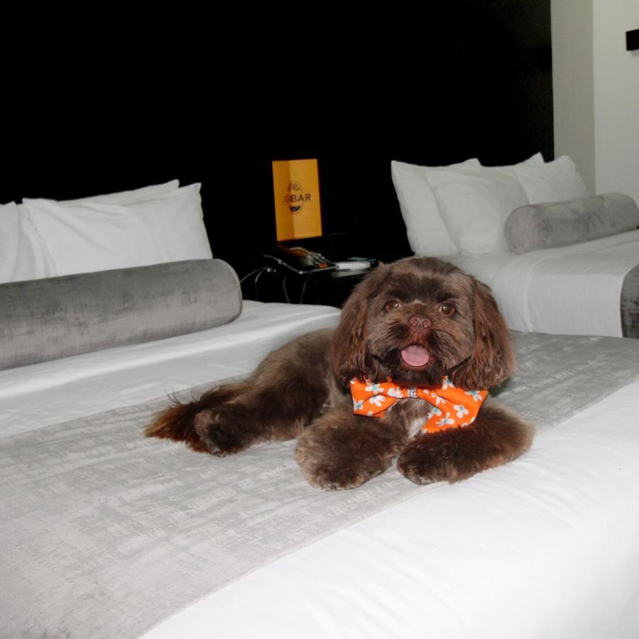 Stay Inn Hotels Reynosa Eksteriør bilde
